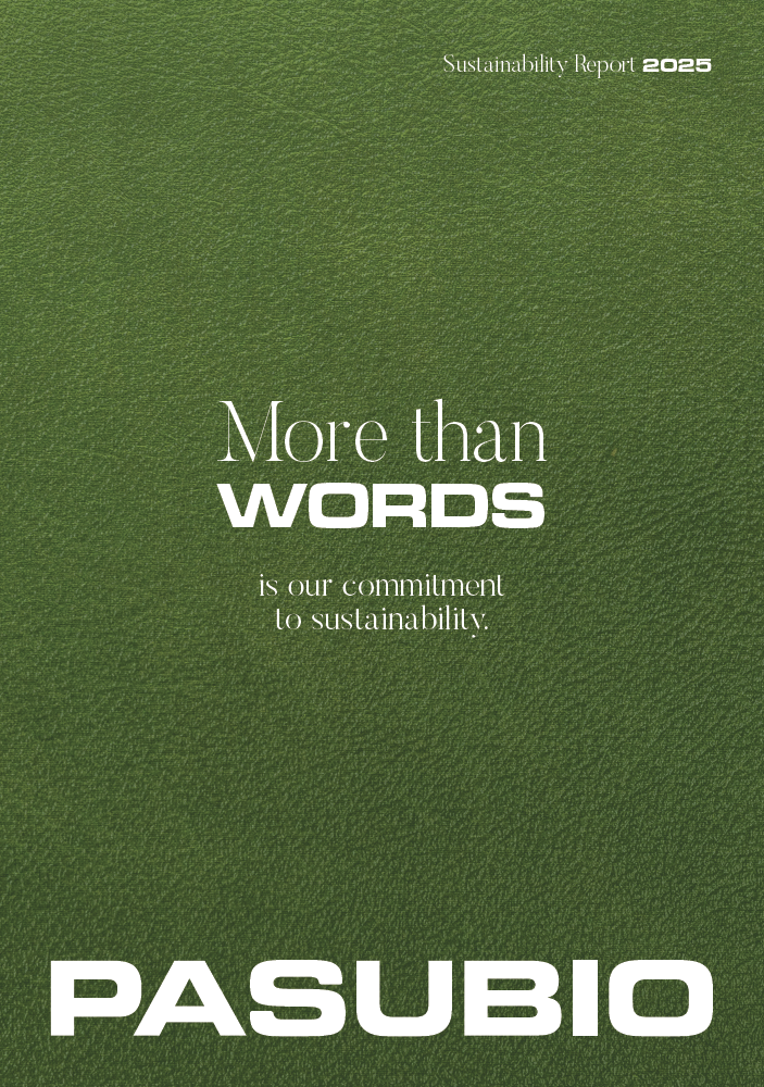 Sustainability report 2025
